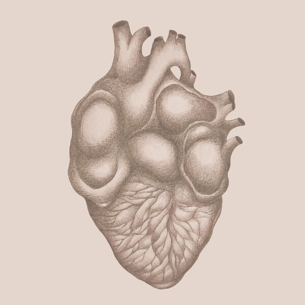 heart