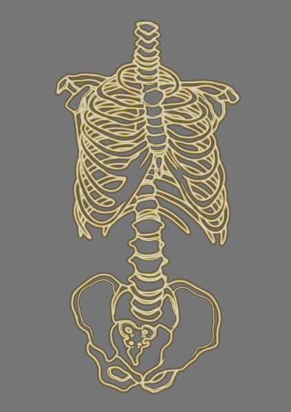 ribcage + pelvis placement