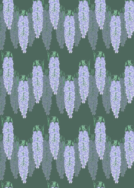 wisteria repeat