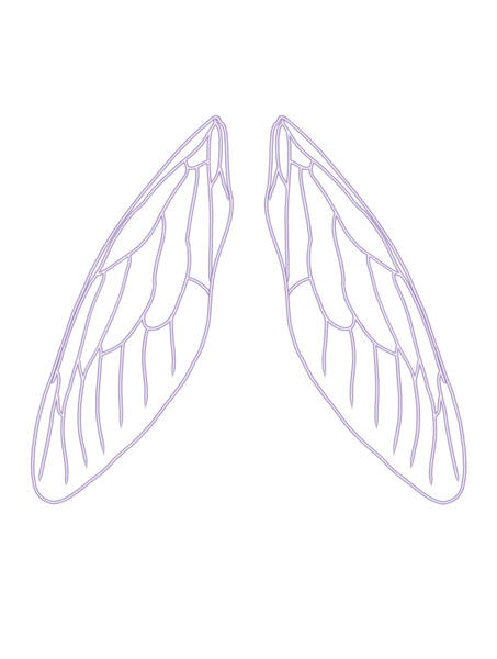 wing placement